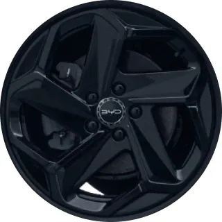 17 inch
