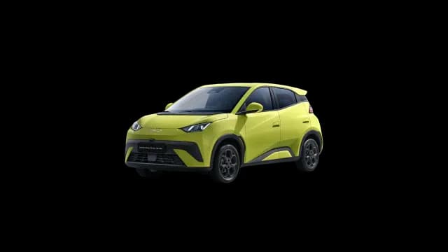 BYD Dolphin Surf